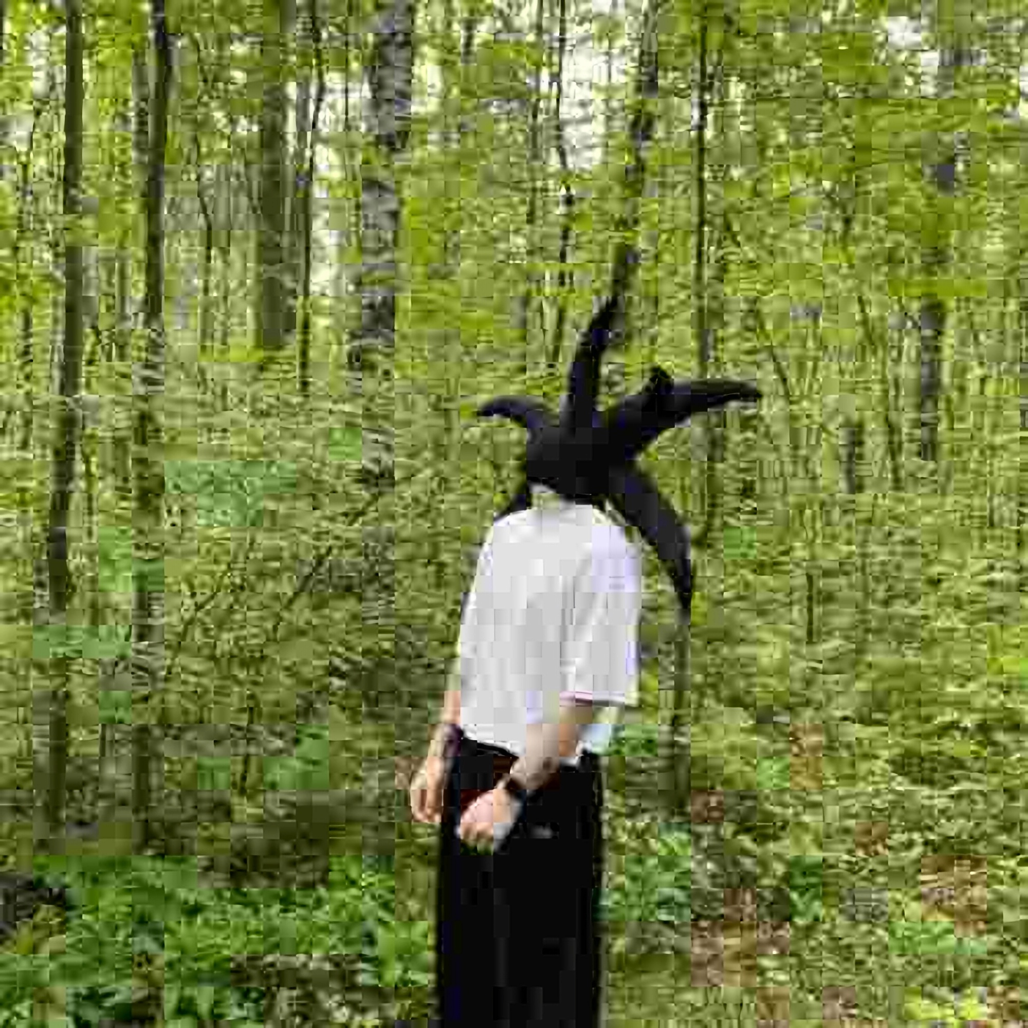 runescape (breakcore) - обложка